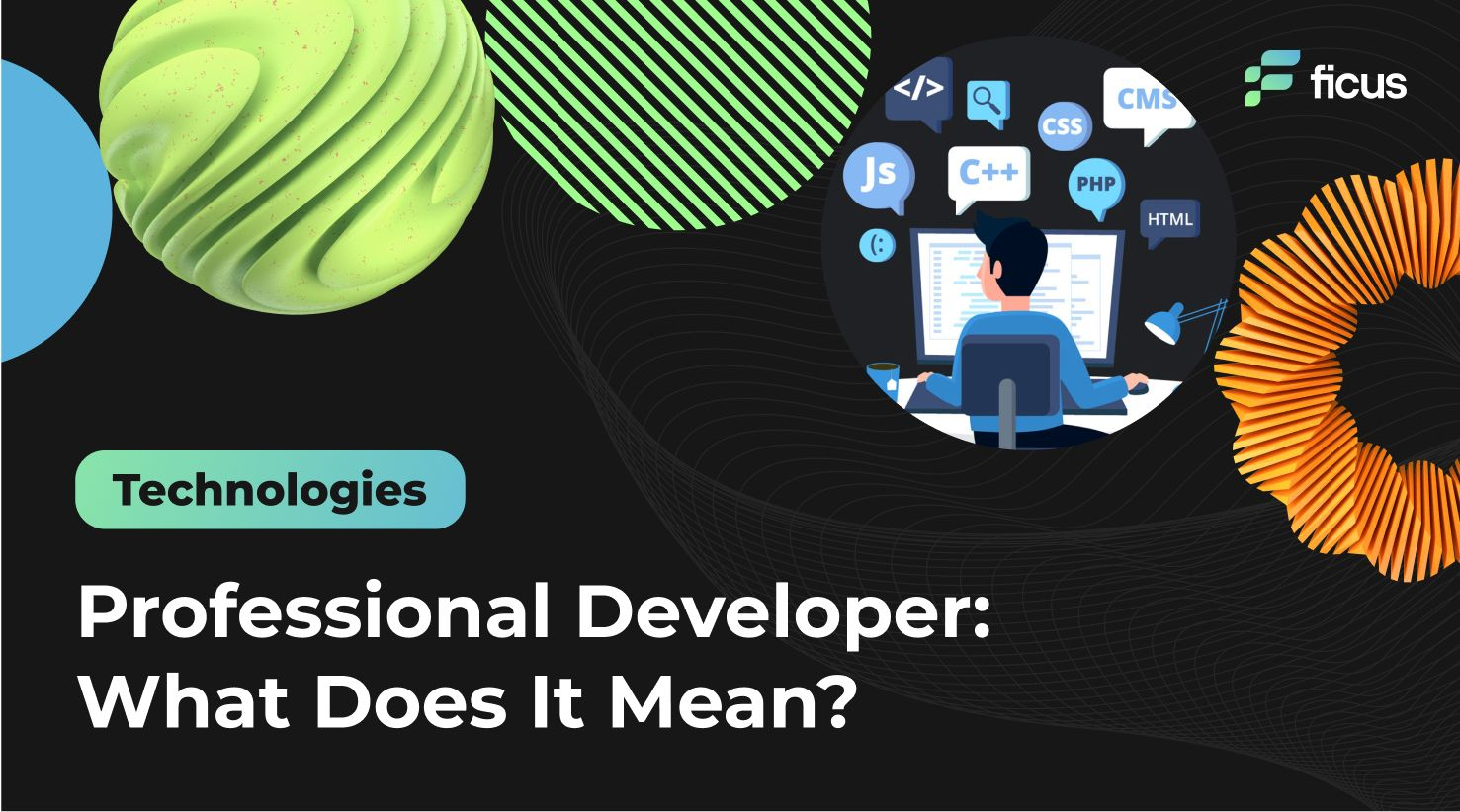 Professional Developer: What Does It Mean?