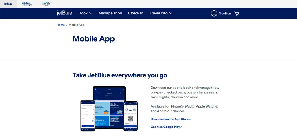 JetBlue's application website