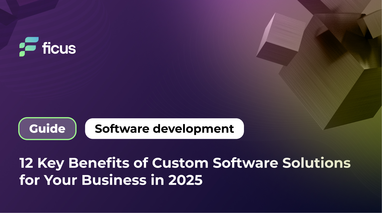 12 Key Benefits of Custom Software Solutions for Your Business in 2025